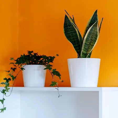 Apartament Colorama Rooftop